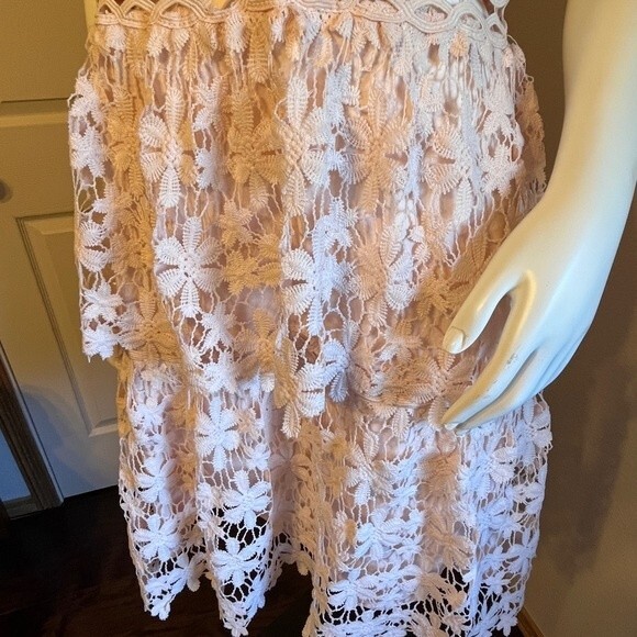 BooHoo Petal pink Embroidered Lace Dress Sz 14 Women's  NWT - Picture 4 of 10